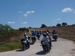 XVIII Concentracion - 2011